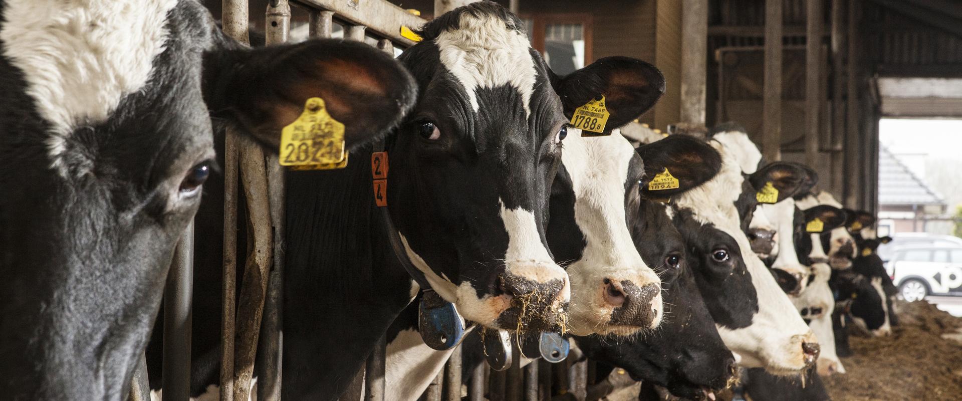 banner Altijd en overal